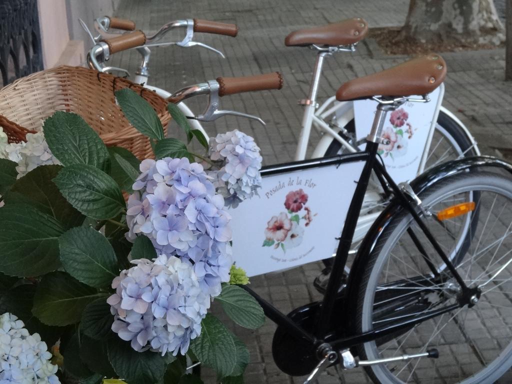 Posada De La Flor كولونيا ديل ساكرامينتو المظهر الخارجي الصورة